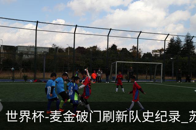 世界杯-麦金破门刷新队史纪录 苏格兰1-0海地领跑积分榜